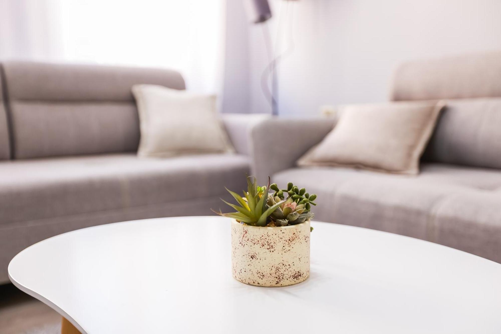 Viewpoint Central Apartment 티라나 외부 사진