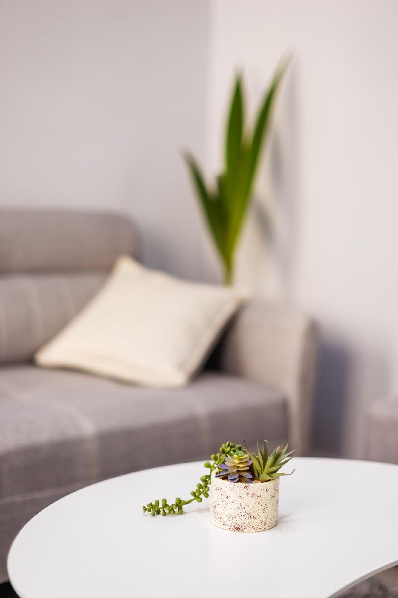 Viewpoint Central Apartment 티라나 외부 사진